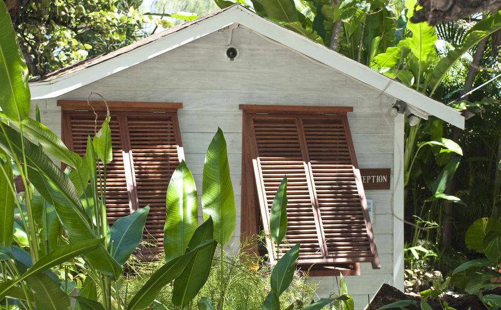 Eco Lifestyle And Lodge Bathsheba Luaran gambar