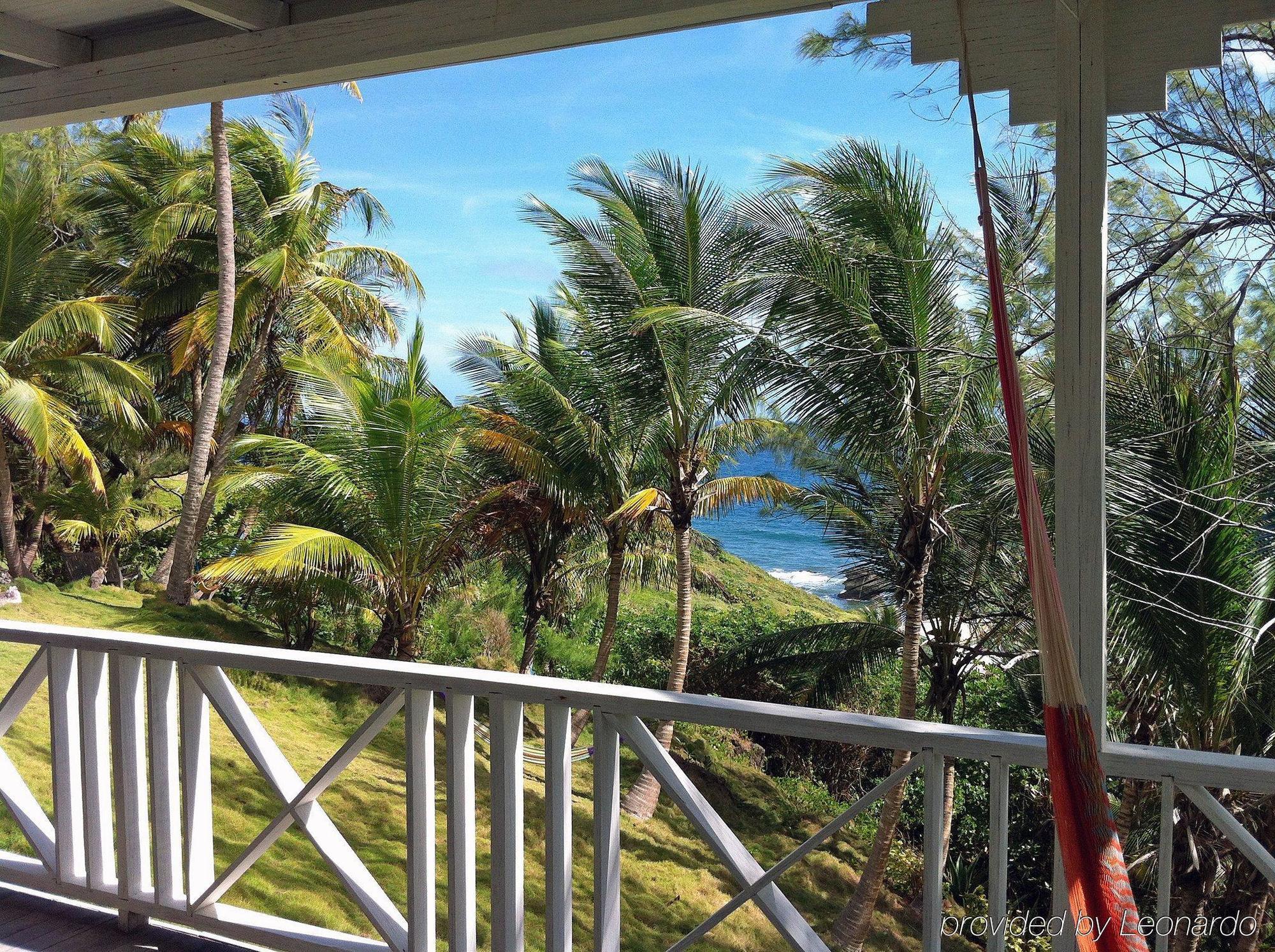 Eco Lifestyle And Lodge Bathsheba Luaran gambar