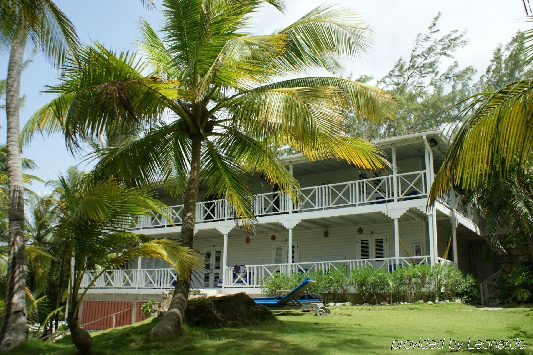 Eco Lifestyle And Lodge Bathsheba Luaran gambar