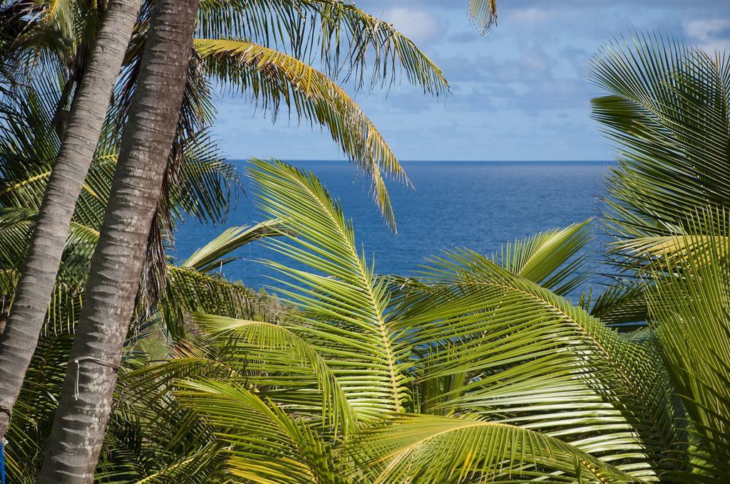 Eco Lifestyle And Lodge Bathsheba Luaran gambar