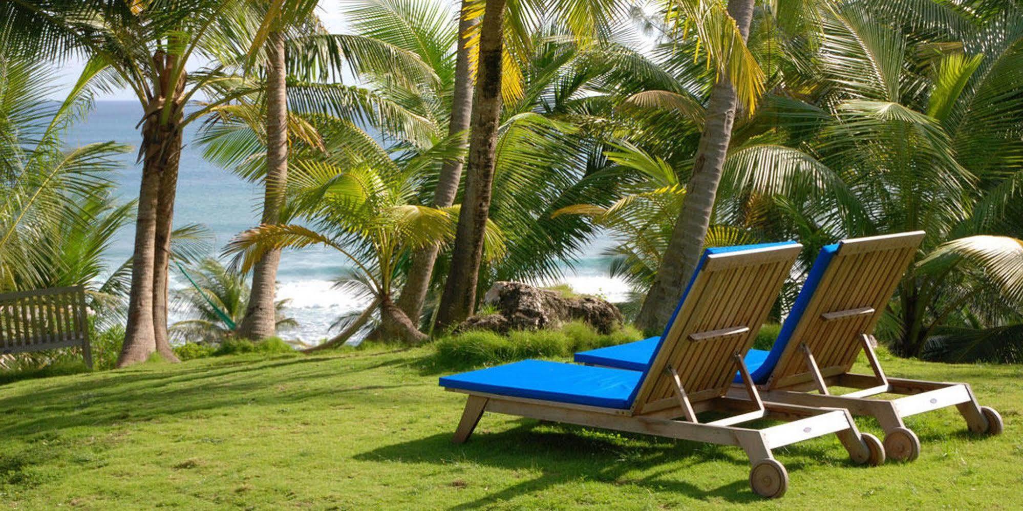 Eco Lifestyle And Lodge Bathsheba Luaran gambar