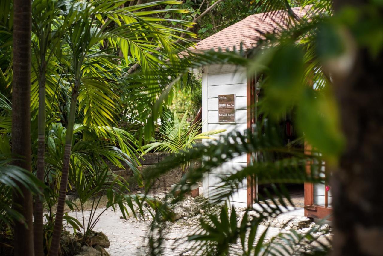 Eco Lifestyle And Lodge Bathsheba Luaran gambar