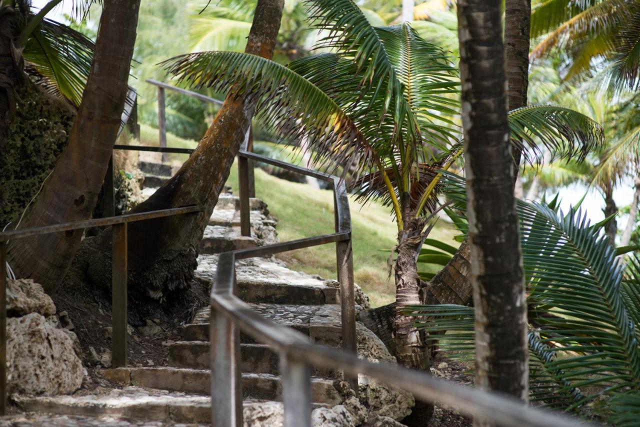 Eco Lifestyle And Lodge Bathsheba Luaran gambar
