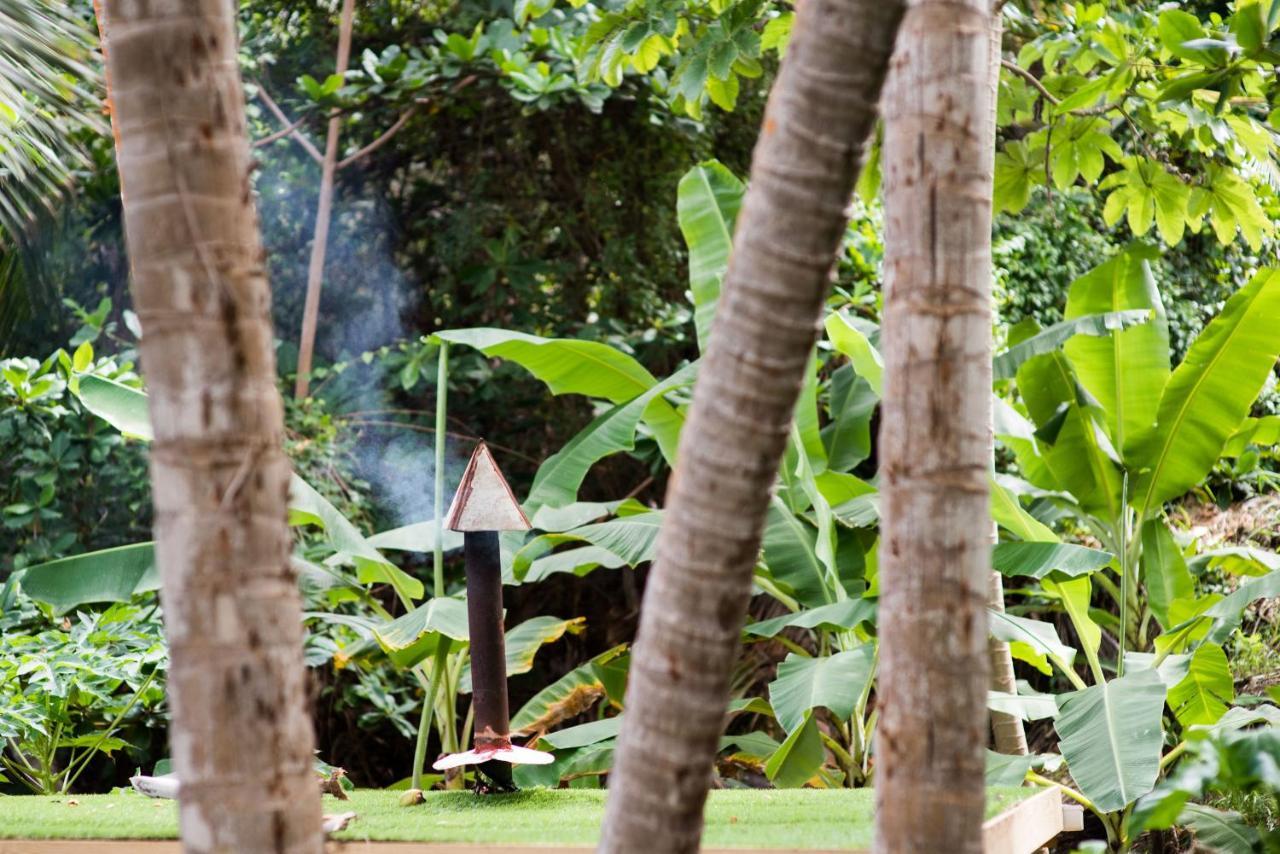 Eco Lifestyle And Lodge Bathsheba Luaran gambar